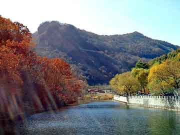 管家婆黑白马报图库，路辰年